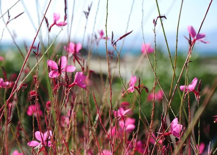 公寓 Glyfada Veranda With Sea View Kastrákion